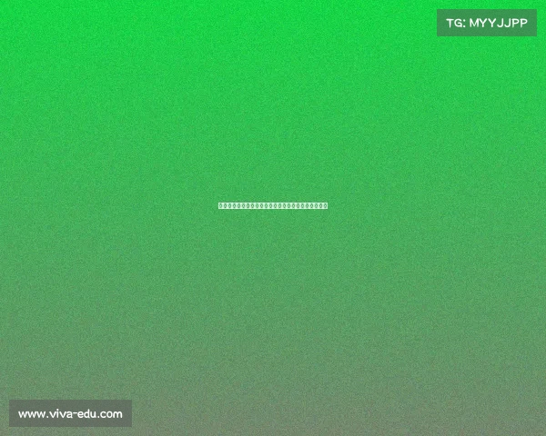 德甲主帅风采：解析当前教练战术理念与球队管理策略