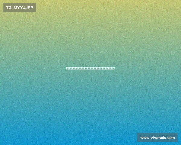 德甲网络平台助力足球迷互动体验全面提升开启全新赛事直播与社交功能