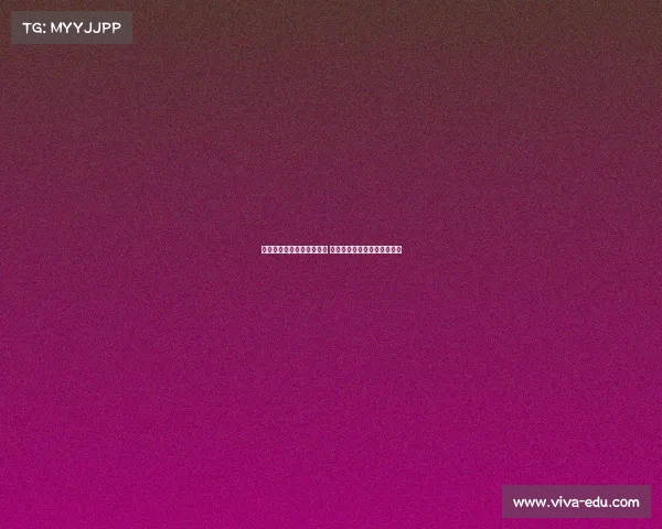 不来梅重返德甲舞台新征程 期待青训与战术革新双轮驱动